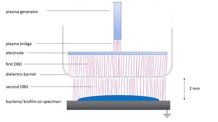 The In-Vitro Activity of a Cold Atmospheric Plasma Device against Bacteria and Biofilms Associated with Periodontal or Peri-Implant Diseases