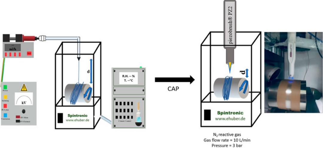 Fabrication and Plasma Surface Activation of Aligned Electrospun PLGA Fiber Fleeces with Improved Adhesion and Infiltration of Amniotic Epithelial Stem Cells Maintaining their Teno-inductive Potential