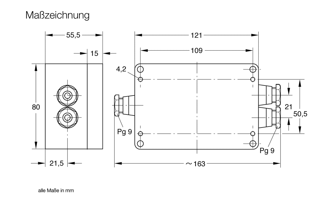 Switching Ampliflier SV 110