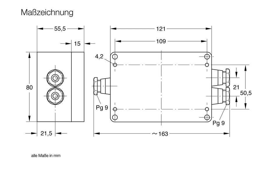 Switching Ampliflier SV 110