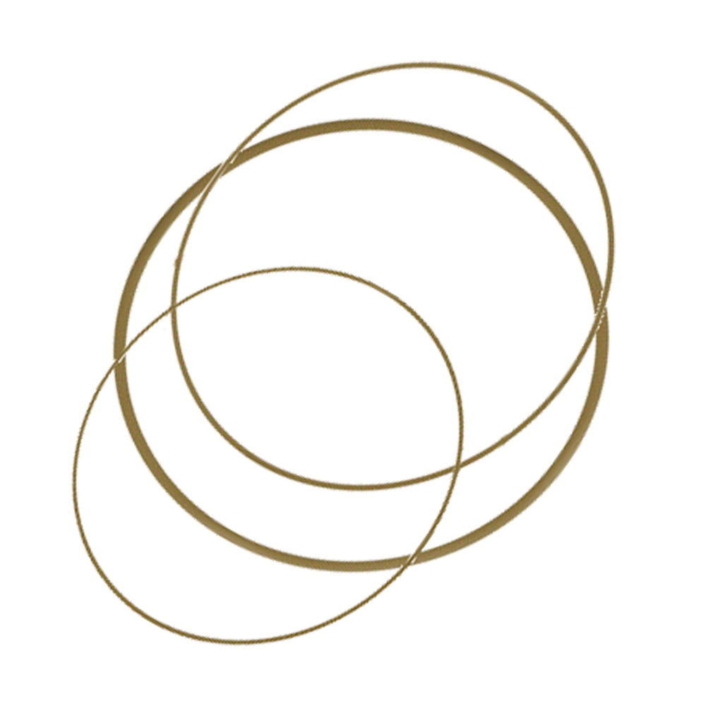 Replacement Gasket Kit for DN40CF Gate Valves, 1x Viton + 1x Metal
